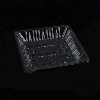 PS PVC 무역 보험을 가진 처분할 수 있는 케이크 음식 쟁반 콘테이너 기계를 귀여워하십시오 협력 업체